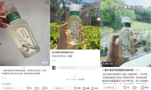 东方树叶最新爆料,揭秘茶饮界的绿色革命  第3张